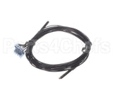 EX08700-19 Eemax Thermistor