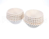 F00100000 Fetco Paper Filter, 15 X 5 1/2
