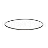 F0374 Frosty Factory O-Ring, Faceplate, 9"