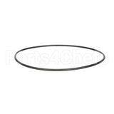 F0374 Frosty Factory O-Ring, Faceplate, 9"
