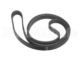 F1037 Frosty Factory Belt, 289, 500J6