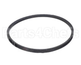 F170-70577810 Intl Environmental Corp A29 Belt 31 In