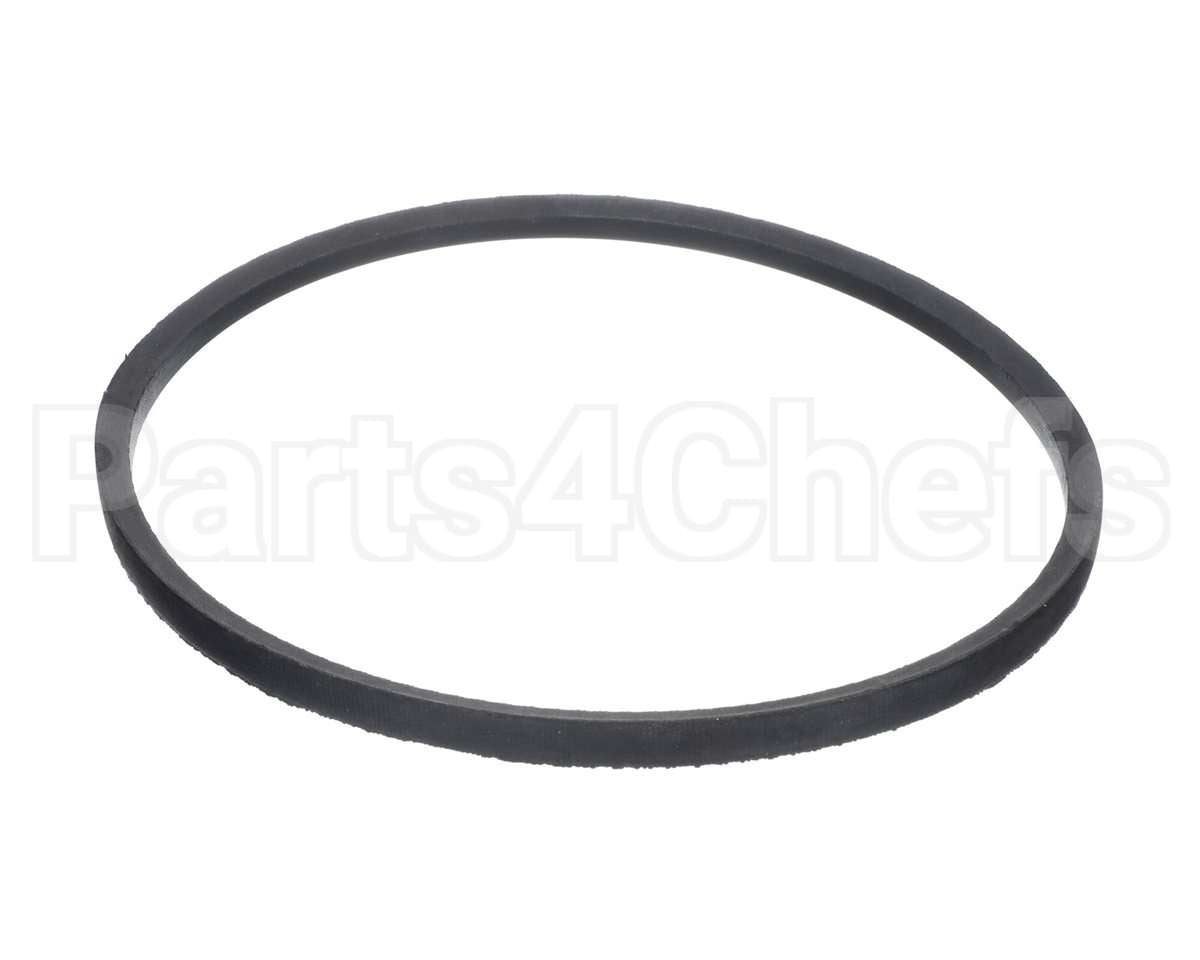 F170-70577810 Intl Environmental Corp A29 Belt 31 In
