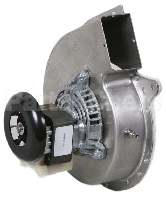 FB-RFB276 Rotom Motors