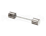 FE-021-19 Hobart Fuse