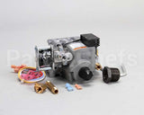 FK113049 Cleveland Kit,Replacement,2-Stage Gas Va