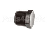 FP01-009 Henny Penny Pipe Plug