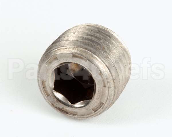 FP01-020 Henny Penny Plug 1/4-18 Hex Level Seal