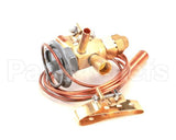 FR6851940 Beverage Air Valve Txv