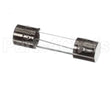 FU-34955 Alto Shaam Fuse,250V,10A Fast Acting,