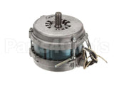 G00151 Globe Motor
