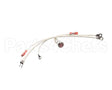 G2-156111 Star Pilot Light Assem
