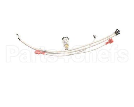 G2-156111 Star Pilot Light Assem