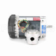 G871 Marathon Motor