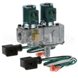 G96HGH-5 Compatible Johnson Controls Dual Gas Solenoid Valve 1/2" 25V