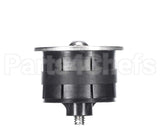 GDL2000 Drain Lock 2" Hybrid Drain Lock