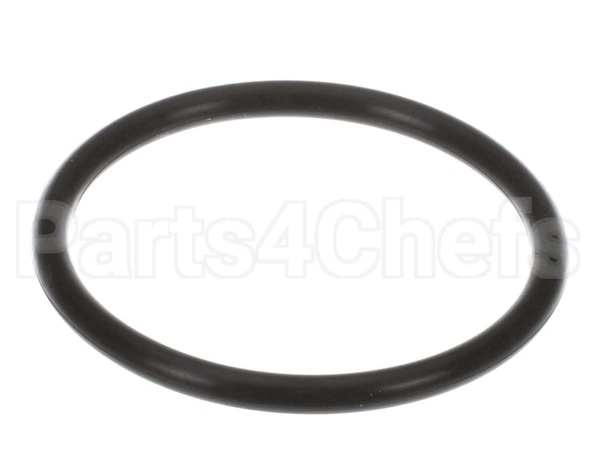 GS-39486 Alto Shaam Gasket