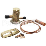 GT-05555-1 Compatible Emerson Txv