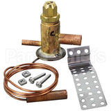 GT-06322-4 Compatible Emerson Txv Valve