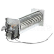 GT035129 Compatible Glastender Blower Assembly