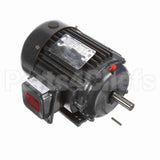 GT1004 Marathon Motor