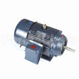 GT3120A Marathon Close Coupled Pump Motor