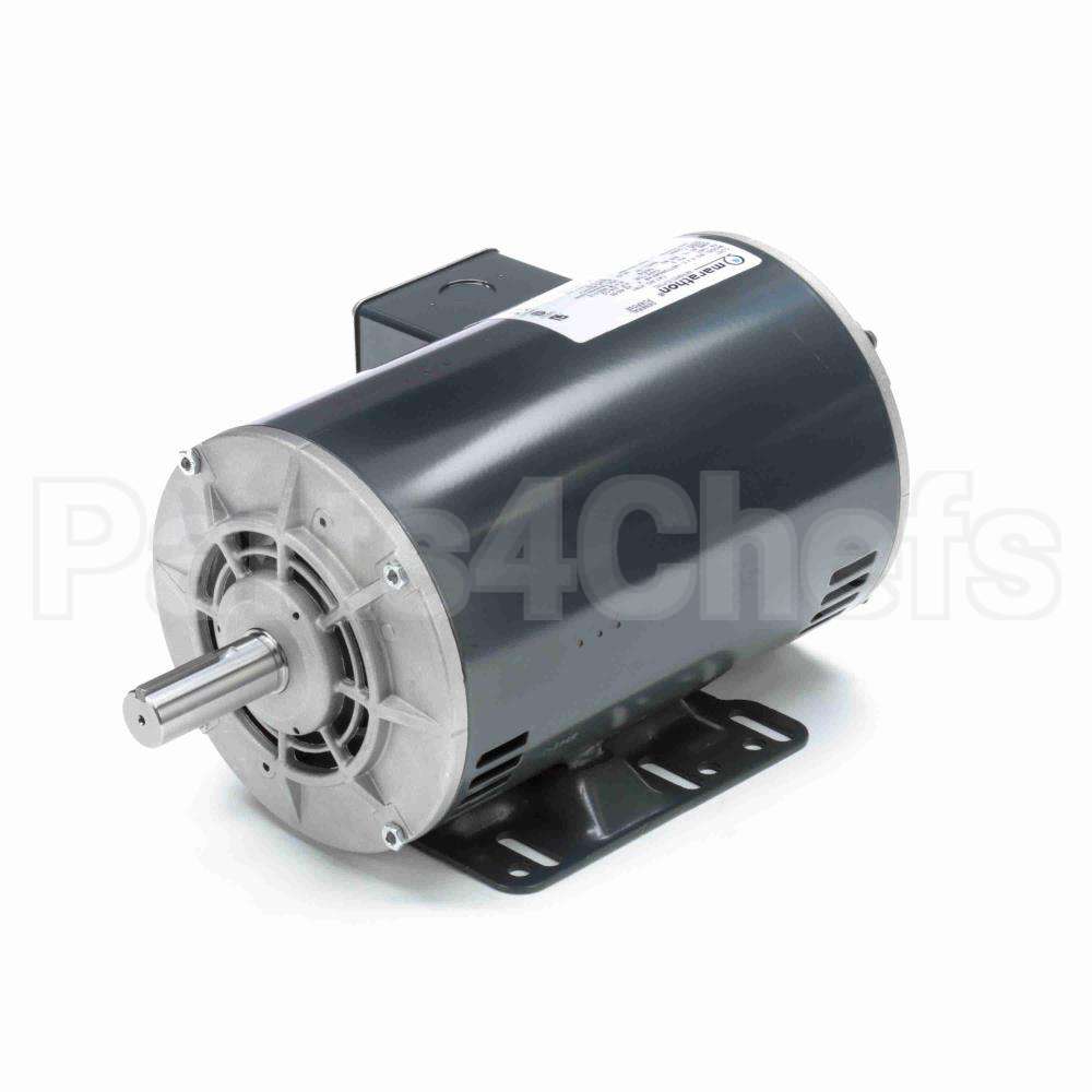 H181 Marathon Motor