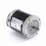 H256L Century Motor