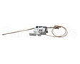 HA02-16-003B-00 Insinger Thermostat