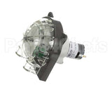 HC169101 Electrofreeze Pump-Peristaltic Syrup 24Vdc