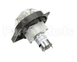 HC169101 Electrofreeze Pump-Peristaltic Syrup 24Vdc