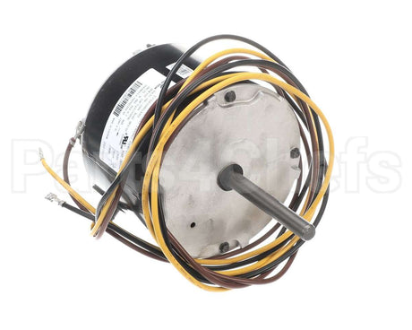 HC34GE238 Bryant Payne 1/10Hp 1Ph 208/230V 800 Rpm Motor