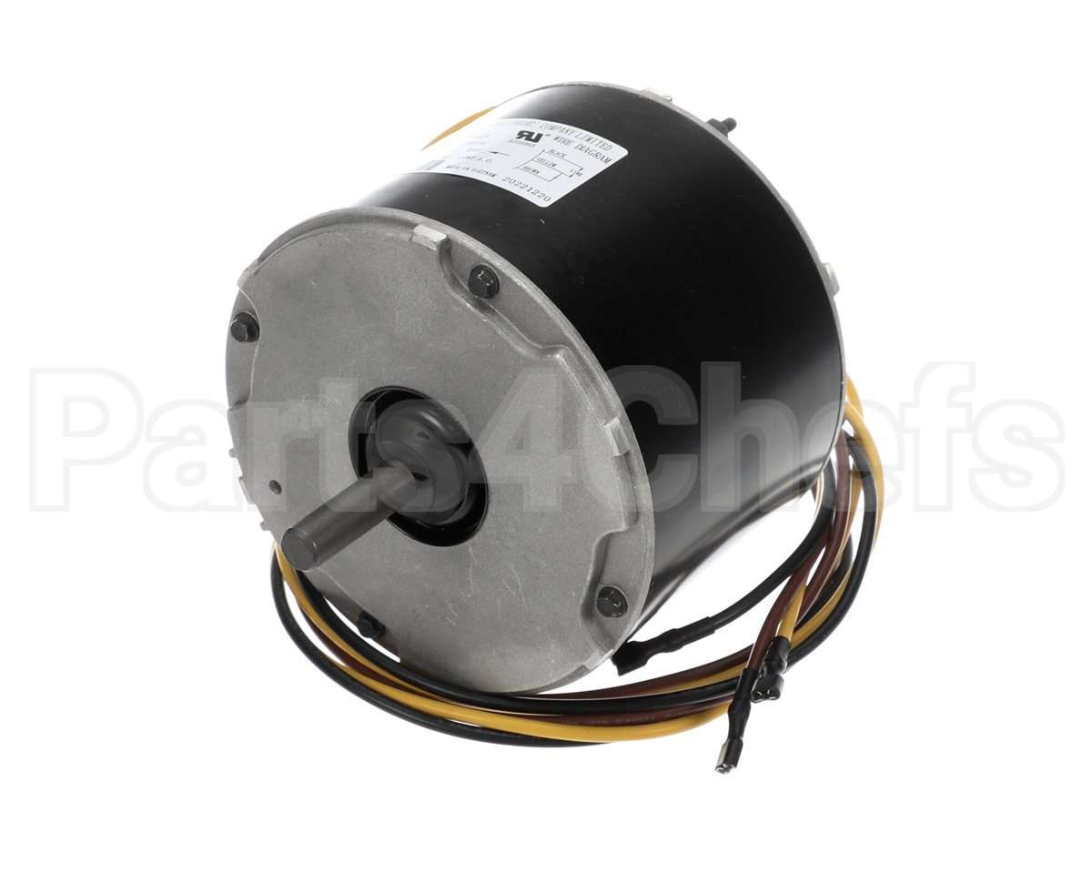 HC39GE238 Bryant Payne Motor