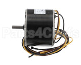 HC39GE238 Bryant Payne Motor