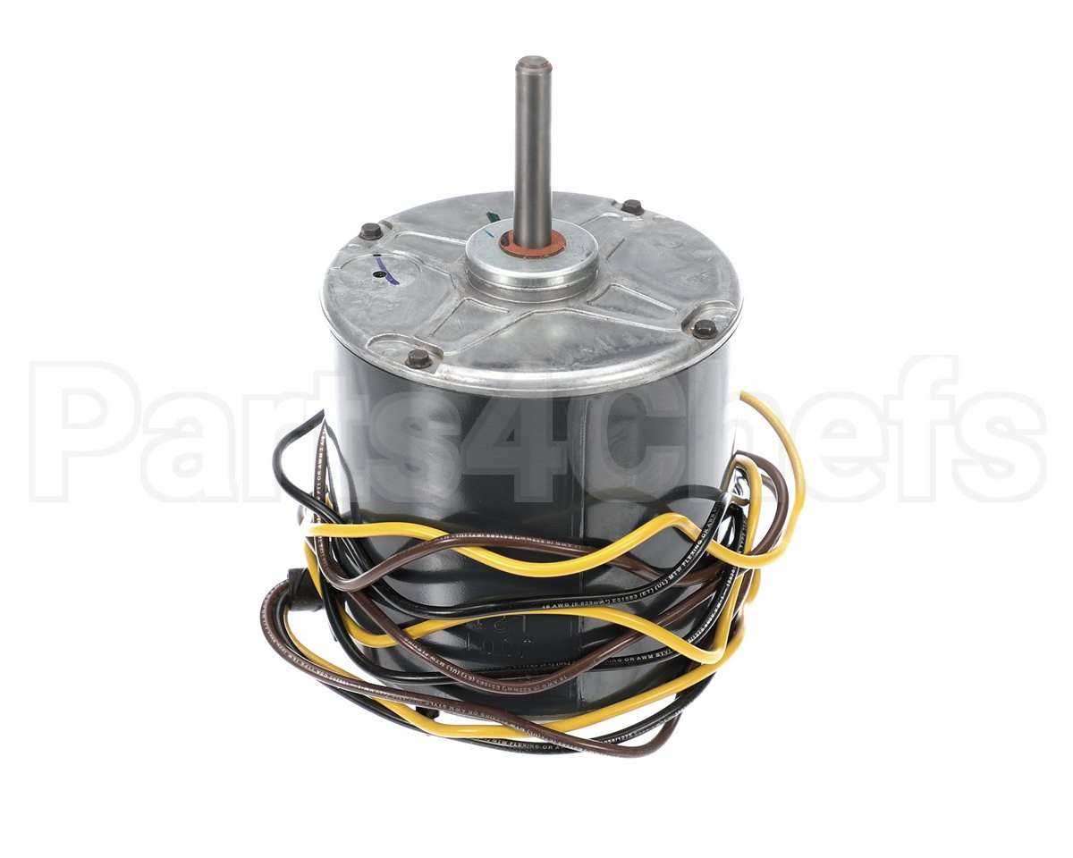 HC39GE239 Bryant Payne Motor