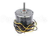 HC39GE239 Bryant Payne Motor
