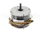 HC39GE464 Bryant Payne Motor, 460V, 1/4Hp