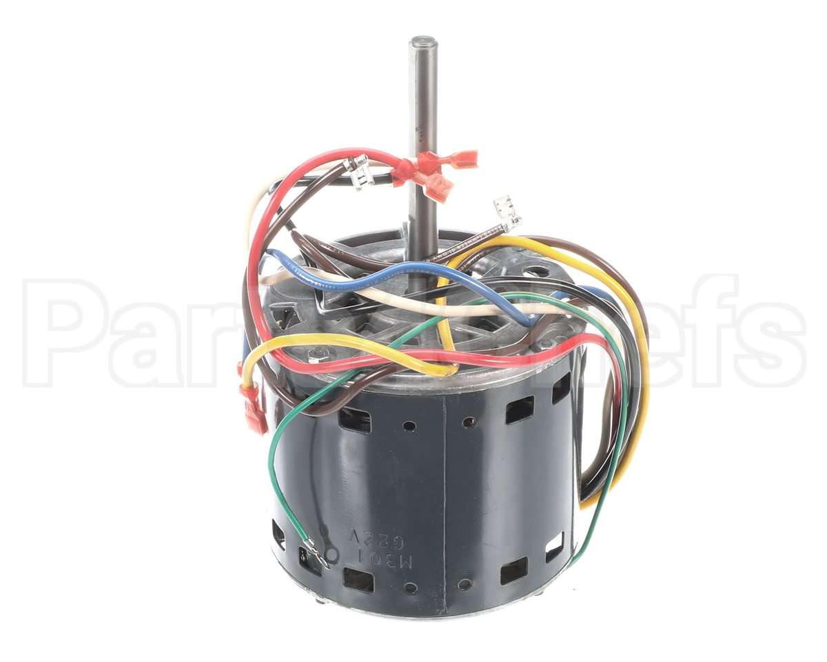 HC43AE115 Bryant Payne Motor