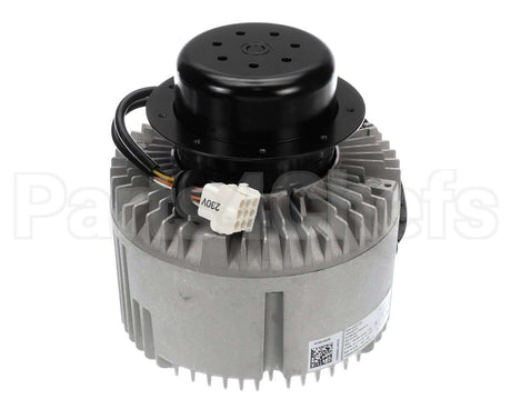 HC46JQ230 Bryant Payne Motor, Blower