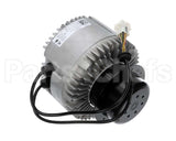 HC46JQ231 Bryant Payne Blower Motor