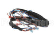 HCT-4386-1 Turbochef Harness, Hct, Main Line Voltag