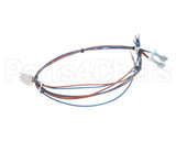 HCT-4386-5 Turbochef Harness, Hct, Main Line Voltag
