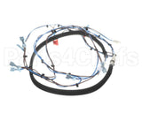 HCT-4400-4 Turbochef Main Harness, Line Voltage