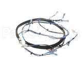 HCT-4400-4 Turbochef Main Harness, Line Voltage