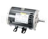 HD56FL651 Bryant Payne Fan Motor