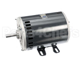 HD56FL651 Bryant Payne Fan Motor