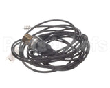 HK02ZA442 Bryant Payne Ignitor