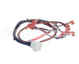 I1-9173 Turbochef Wire Harness, Line Voltage, Transformers