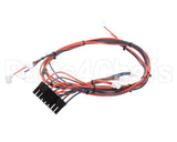 I1-9739 Turbochef Wire Harness, Line Voltage, Re