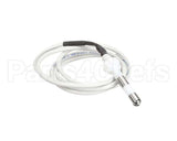 IC155146180 Carpigiani Rod-Level Electronic Control A